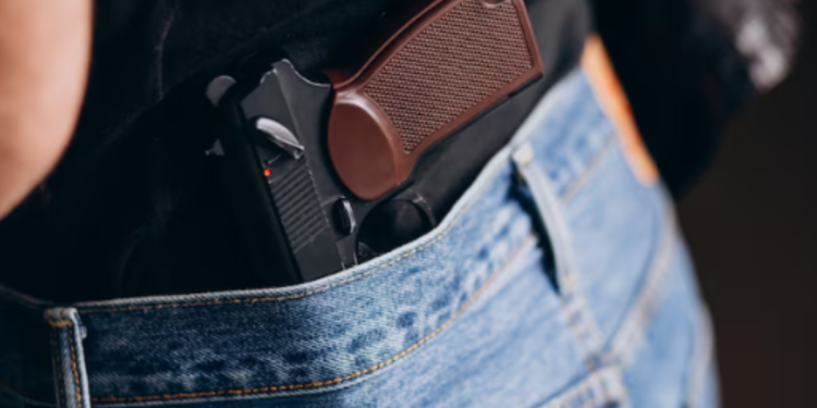 Câmara aprova medida que concede porte de arma a profissionais desta área