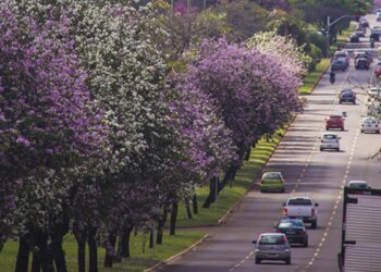 Cidade com ruas gigantes e IDH elevado é uma das melhores para morar no Brasil em 2026