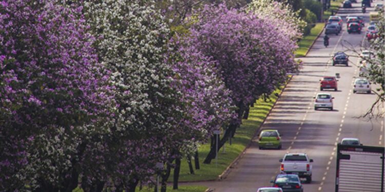 Cidade com ruas gigantes e IDH elevado é uma das melhores para morar no Brasil em 2026