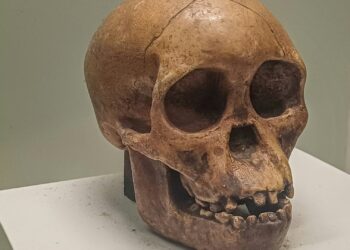 Cientistas mudam a teoria e revelam que primeiro humano não nasceu na África