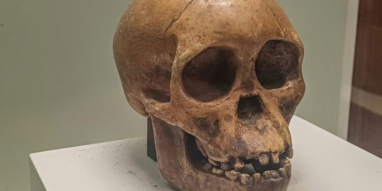 Cientistas mudam a teoria e revelam que primeiro humano não nasceu na África