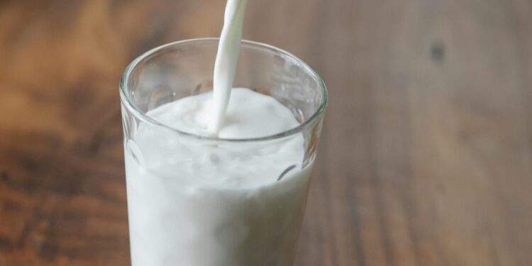 Projeto aprovado pode proibir uso de “leite”, “carne” e “mel” no Brasil