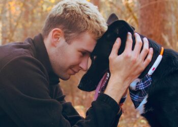Você prefere cachorro em vez de gato? A psicologia diz que isso pode explicar muito sobre você