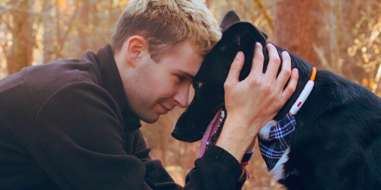 Você prefere cachorro em vez de gato? A psicologia diz que isso pode explicar muito sobre você