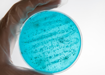 Alerta no Brasil: uma das piores superbactérias do mundo já foi identificada no país