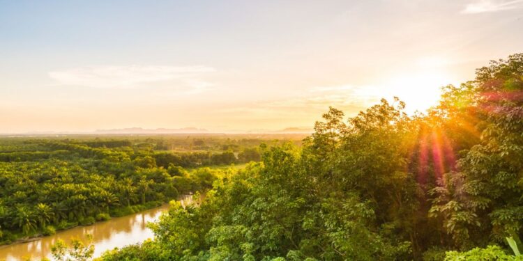 Mistério na Amazônia