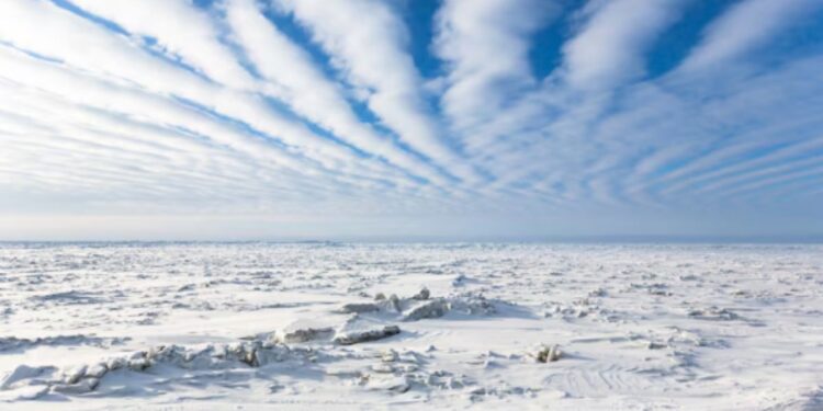 Antártida cheia de gelo