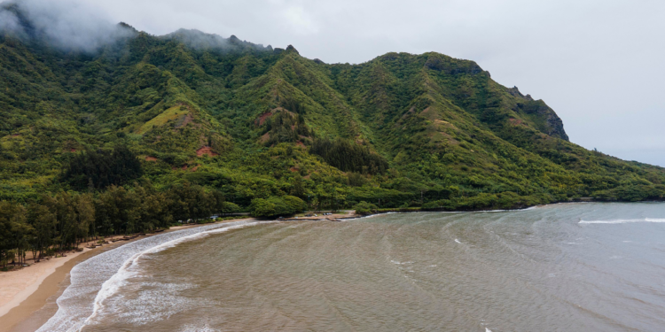Brasil tem ilha gigante à venda com aeroporto próprio e quase 300 mil m²