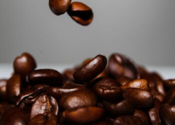 Café antes de virar pó