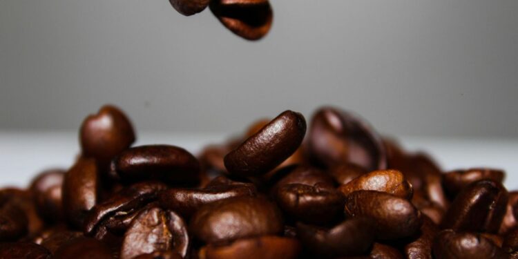 Café antes de virar pó