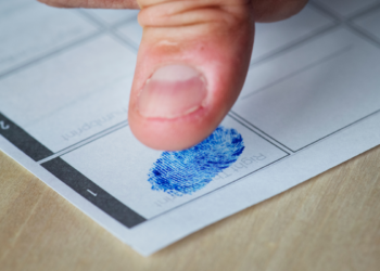 Cérebro humano pode conter impressões digitais; entenda o caso