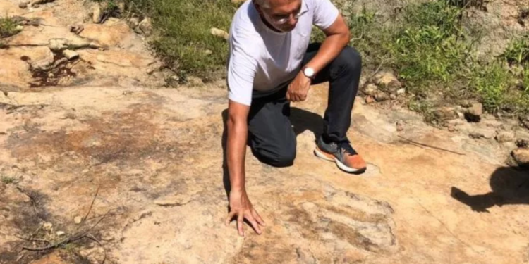 Cientistas confirmam aparição de dinossauro gigante no Brasil