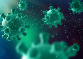 Cientistas fazem alerta mundial para vírus raro que mata 4 em cada 5 pessoas