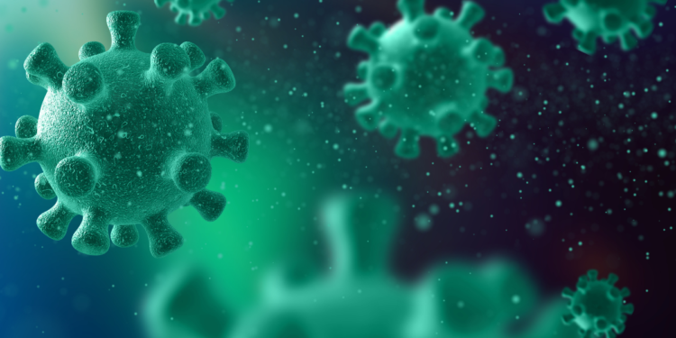 Cientistas fazem alerta mundial para vírus raro que mata 4 em cada 5 pessoas