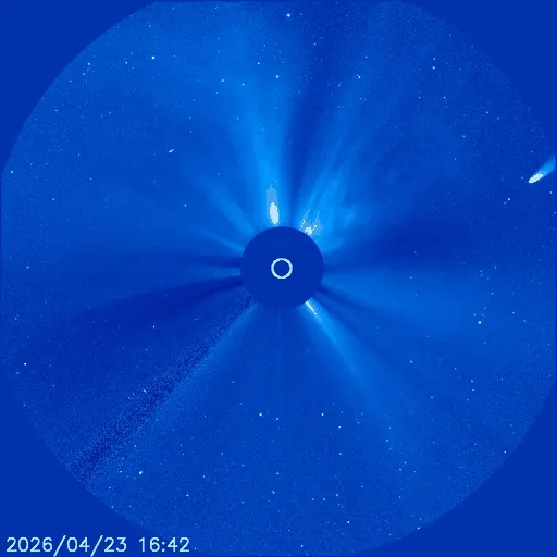 Criança da anticauda do cometa