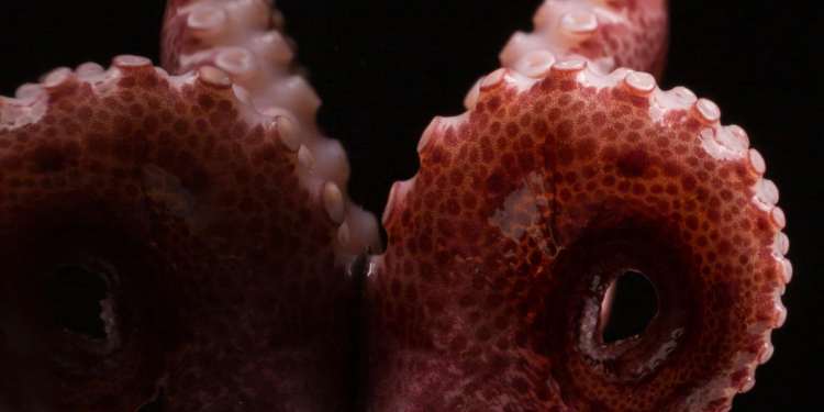 Objeto estranho com “tentáculos” surge no espaço e é flagrado por astronautas