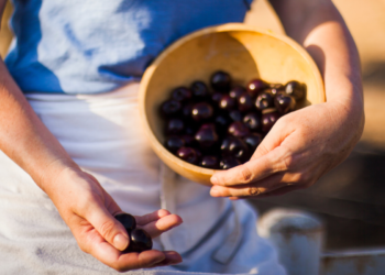 Ouro negro: a fruta pouco conhecida repleta de antioxidantes que produz colágeno e fortalece os ossos
