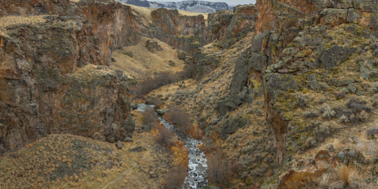 Rachadura enorme na África está partindo o continente no meio e novo oceano surgirá nos próximos anos