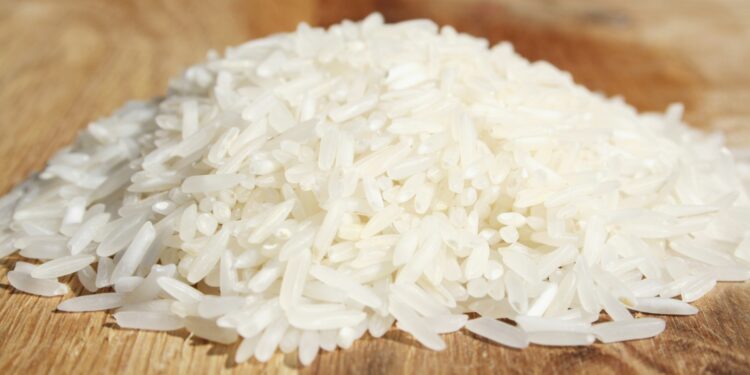Cientistas de Harvard fazem alerta para quem come arroz branco todos os dias