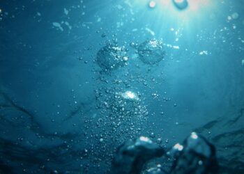 Gigante de 518 anos foi encontrado vivo no Planeta Terra, vivendo no fundo do mar