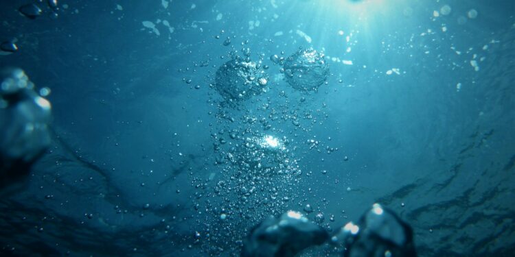 Gigante de 518 anos foi encontrado vivo no Planeta Terra, vivendo no fundo do mar