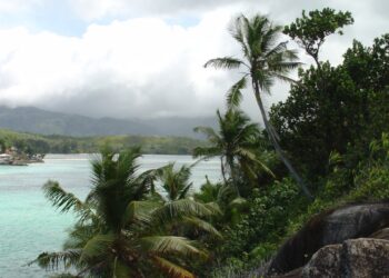 Jornalista construiu um “paraíso da natureza” em ilha isolada e recusou oferta de R$ 250 milhões