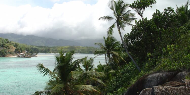 Jornalista construiu um “paraíso da natureza” em ilha isolada e recusou oferta de R$ 250 milhões