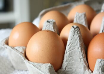 O que realmente acontece com o seu corpo quando você come ovos todos os dias