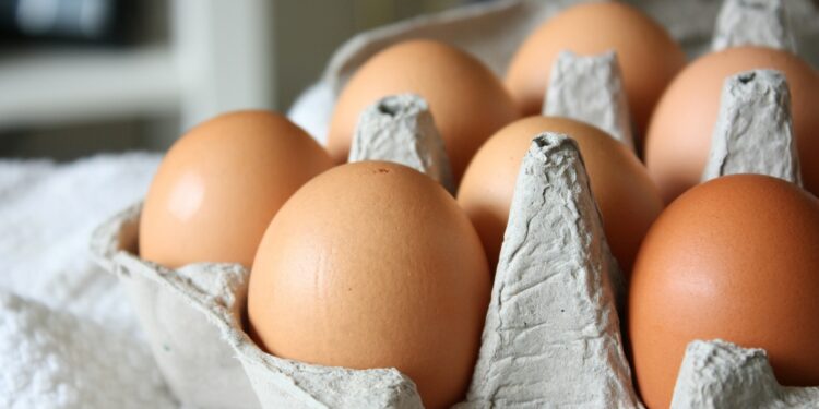 O que realmente acontece com o seu corpo quando você come ovos todos os dias