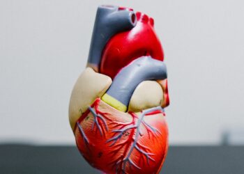 Ter problemas com dinheiro acelera o envelhecimento do coração, alerta estudo