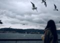 Por que esse animal “foge” das mulheres? A resposta surpreendeu até cientistas