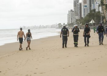 Após 11 anos, Pernambuco toma decisão inédita para tentar evitar novos ataques de tubarão