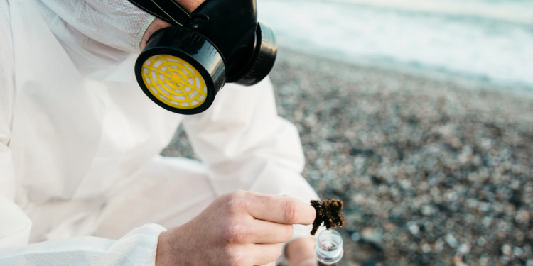 Cientistas fazem alerta para brasileiros que vivem em cidades com praia