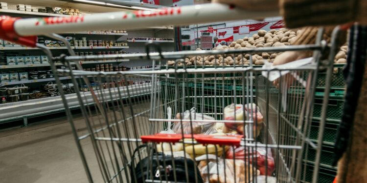 Brasileiros no CadÚnico até 10/04 poderão ganhar “compras do mercado” de graça entre 01/07 e 15/07