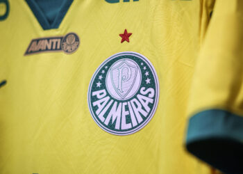 Chance de título do Palmeiras no Brasileirão está fazendo a torcida do Flamengo arrancar os cabelos