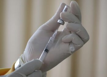 Quem tomou a vacina da dengue suspensa vai precisar tomar outra dose? Entenda o que dizem os especialistas